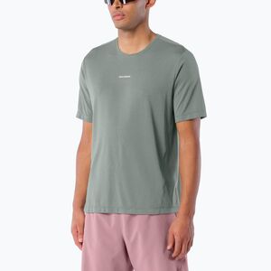 Férfi futó póló Salomon Shakeout Core SS Tee castor gray (Shakeout Core LC2947600) kép