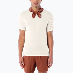 Férfi futó póló Salomon Sense Aero GFX Tee SS whisper white/raind day/bright white (Sense Aero GFX LC2929100) kép