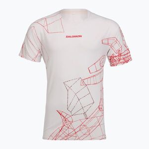 Férfi futó póló Salomon S\Lab Speed Tee SS lilac ash (S\Lab Speed LC2946600) kép