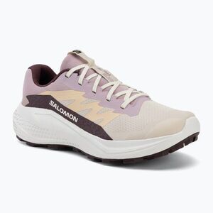 Női futócipők Salomon Alphaglide tapioca/dawn pink (Alphaglide L49092800) kép