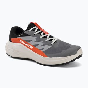 Férfi futócipők Salomon Alphaglide GTX castlerock/lunar rock (Alphaglide GTX L47975300) kép