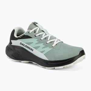Női futócipők Salomon Alphaglide GTX green milieu/asphalt (Alphaglide GTX L49142500) kép