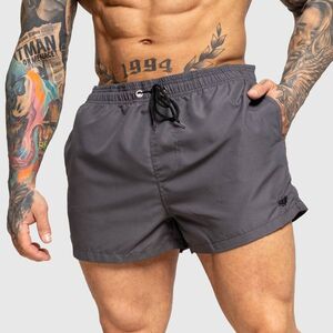 Férfi fürdőnadrág Iron Aesthetics Beach Mode, szürke kép