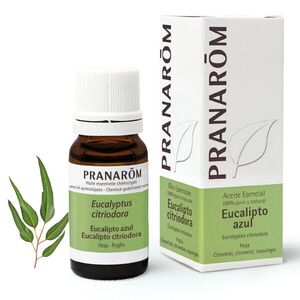 Pranarom Vietnámi eukaliptusz – eucalyptus citriodora 10 ml kép