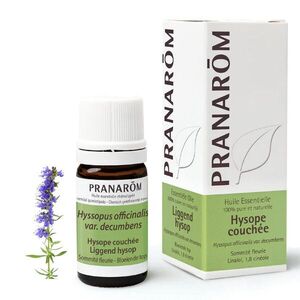 Pranarom Izsóp - virágos hajtás - hyssopus officinalis var. decumbens 5 ml kép