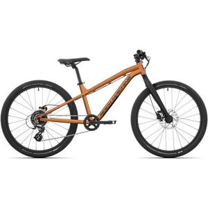 Rock Machine Blizz 24 HD Orange 24 × 12, 5" kép