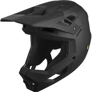 Alpina Pikes MIPS black matt M kép