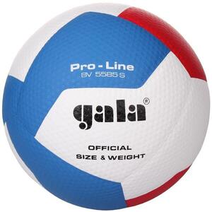 Gala Pro Line 12 BV 5585 S kép