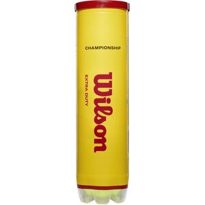Wilson Championship Extra Duty 4Tball kép