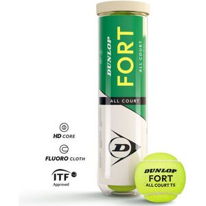 Dunlop Fort All Court TS kép