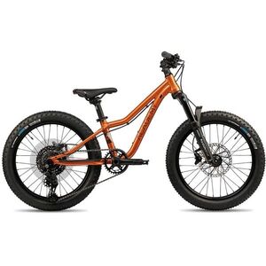 ACADEMY S-GRADE Trail 4 Amber kép