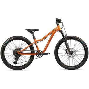 ACADEMY S-GRADE Trail 5 Amber kép