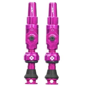 Big Bore Hybrid Tubeless Valves Medium, Pink kép