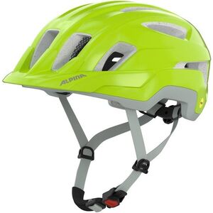 Alpina Paranus MIPS be-visible grey matt 59-62 cm kép