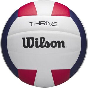 Wilson Thrive VB kép
