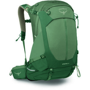 Osprey Stratos 34, Pine Leaf Green kép