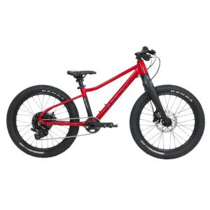 Gyerek hegyi kerékpár RASCAL Wild 20, ruby red kép