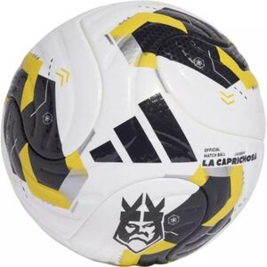 Futball labda ADIDAS KNGS LEAGUE MIN WHITE BLACK PANTON kép