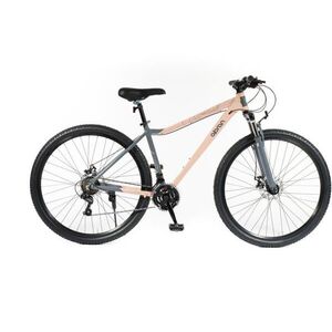 Rosa Lady 29 kép