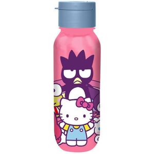 Hello Kitty and Friends 500 ml EWA50204HK kép