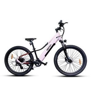 Pluma 26 E-MTB kép