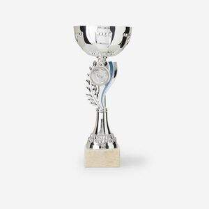 Trophée Vainqueurs Kupa, 23 cm - C160 kép