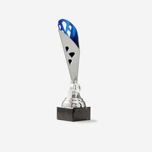 Biemans Kupa, 31 cm - T511 kép