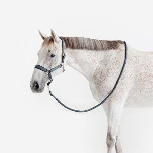 Fouganza Kötőfék és vezetőszár, bőr, nagyló méret kép