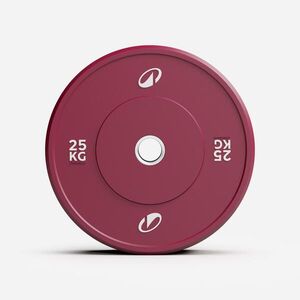 Domyos Súlytárcsa, 25 kg, az ár egy darabra vonatkozik - Pro kép