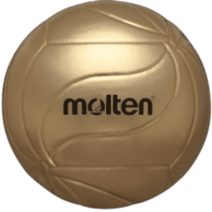 V5M9500 Volleyball kép