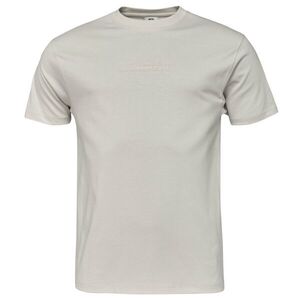 Russell Athletic T-SHIRT Férfi póló, szürke, méret XXXL kép