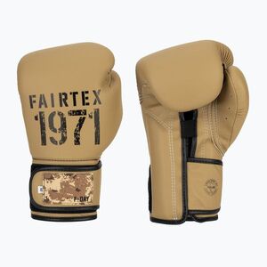Boxkesztyű Fairtex F-DAY 2 Limited Edition khaki (F-DAY 2 Limited Edition BGV25-KH) kép