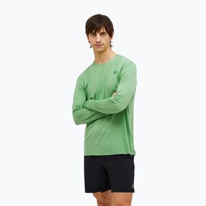 Férfi Peak Performance Delta LS borsmenta hosszú ujjú ruha (Delta LS G79369060) kép