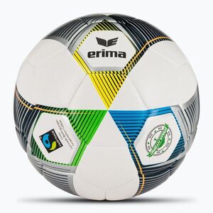 ERIMA Hybrid Eco futball labdarúgó ezüst/tengerészkék 5 méret (Hybrid Eco 7192317) kép