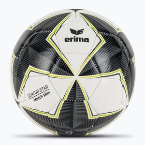 ERIMA Senzor Star Match Mini focilabda fekete/szürke méret 0 (Senzor Star Match Mini 7192415) kép