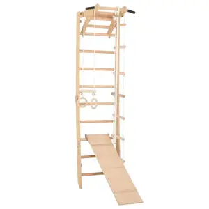 RINAGYM SPR A+SLIDE torna létra (SPR A+SLIDE) kép