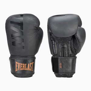 Bokszkesztyűk Everlast Muay Thai – TITAN black (Muay Thai – TITAN EV3533MT) kép