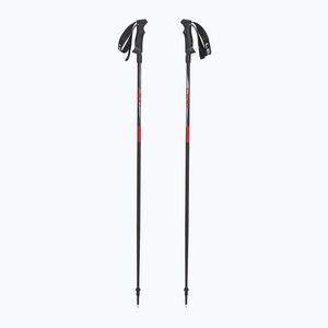Síbotok LEKI Hot Shot anodized black/eloxal gray/eloxal red (Hot Shot 65547471) kép