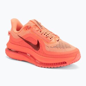 Női futócipő Nike Pegasus Premium orange pulse/bright mango/hot lava (Pegasus Premium HQ2593-802) kép