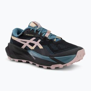 Női futócipő ASICS Trabuco 14 GTX black/morganite (Trabuco 14 GTX 1012B936-001) kép
