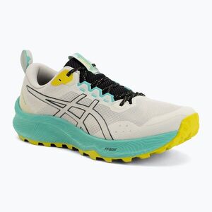 Férfi futócipők ASICS Trabuco Terra 3 light dust/black (Trabuco 14 GTX 1011C152-020) kép