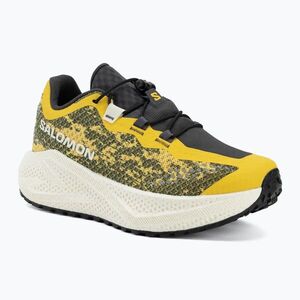 Női futócipő Salomon Aero Glide 4 GRVL beach ball/asphalt/vanilla ice (Aero Glide 4 GRVL L49213800) kép