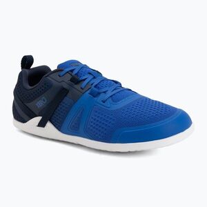 Férfi barefoot cipő Xero Shoes Prio Neo blue lolite (Prio Neo PPM-BUIO) kép
