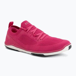 Női barefoot cipők Xero Shoes Nexus Knit fuchsia purple (Nexus Knit NEXW-FSPU) kép