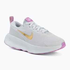 Női cipők Nike Promina vast grey/light magenta/metallic gold (Promina FV6343-010) kép