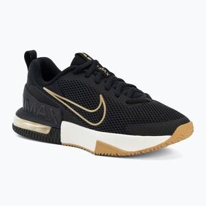 Férfi edzőcipő Nike Air Max Alpha Trainer 6 black/sail/parachute beige (Air Max Alpha Trainer 6 FQ1833-012) kép
