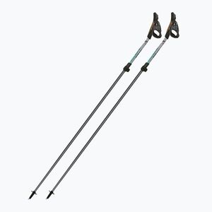 Nordic walking botok Fizan Carbon Pro Impulse grey (Carbon Pro Impulse 100493) kép