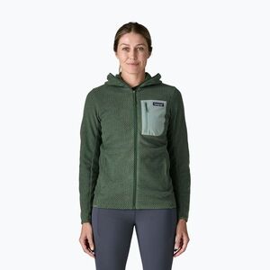 Női polár pulóver Patagonia R1 Air Full-Zip Hoody canopy green (R1 Air 40261) kép