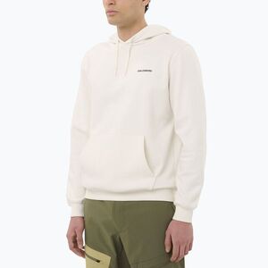 Férfi pulóver Salomon Chest Logo Hoodie whisper white (Chest Logo Hoodie LC2675600) kép