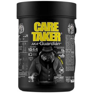 Caretaker BCAAs 10: 1: 1 italpor 480 g kép